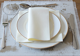 NapkinG Airlaid napkins